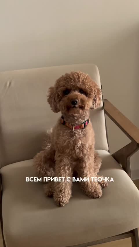 Видео с сеанса массажа лица